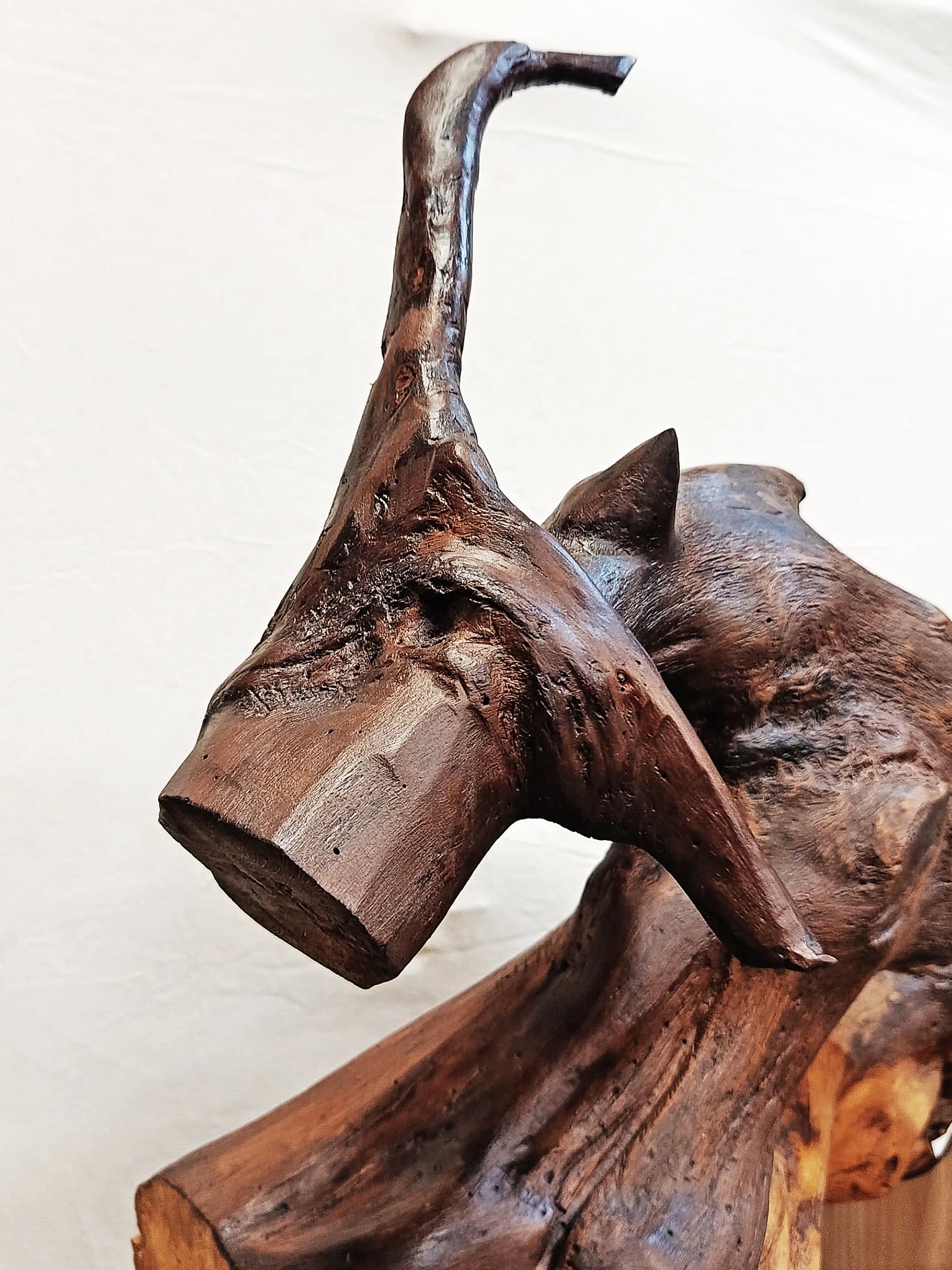 Black Bull