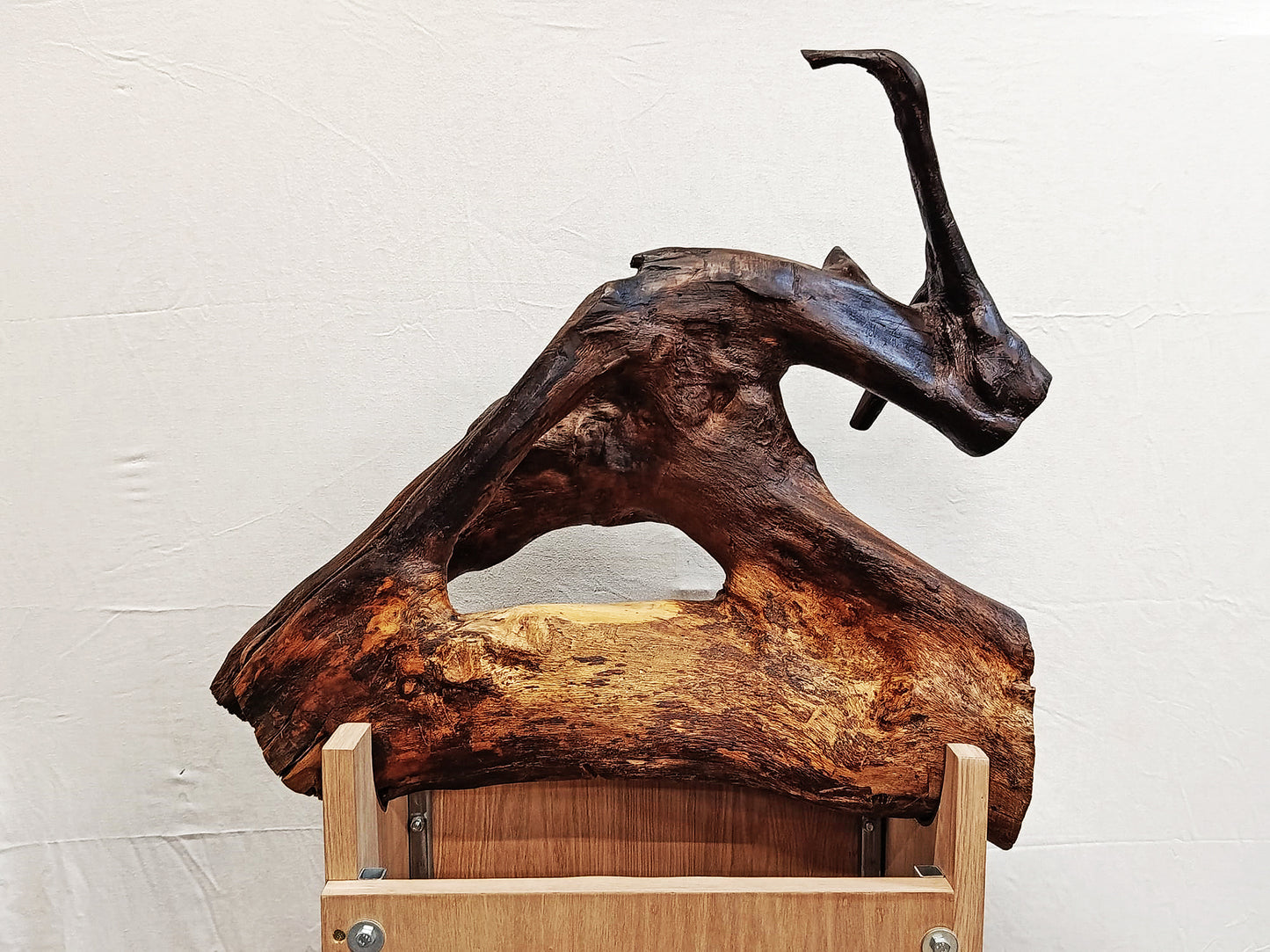 Black Bull