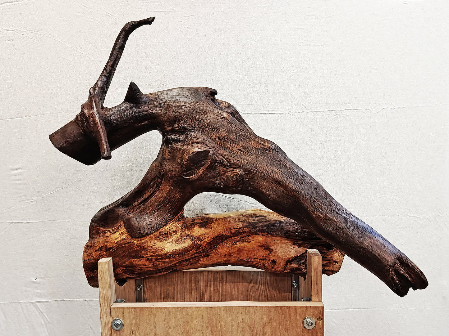 Black Bull